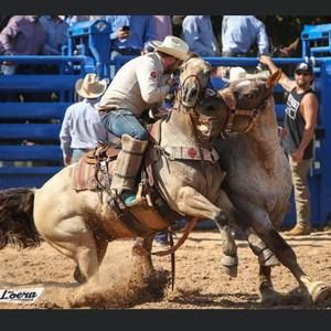 Meet your Posher, Colton